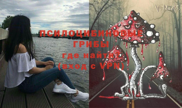 каннабис Аркадак