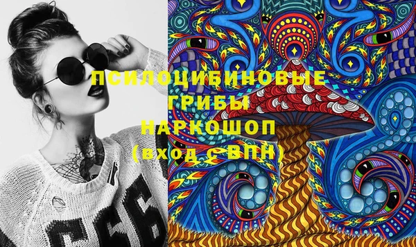 не бодяженный Арсеньев