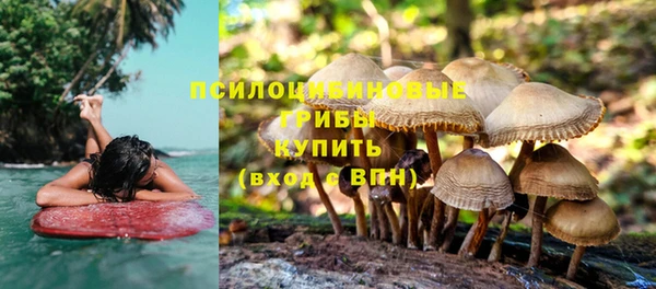 гидра Балабаново
