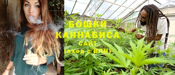 каннабис Аркадак