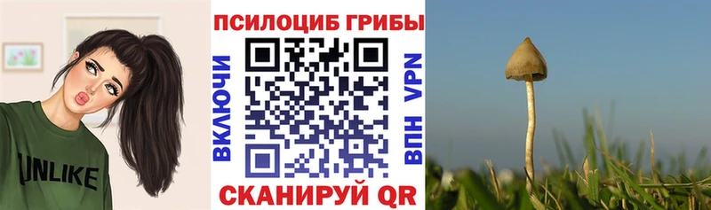 Галлюциногенные грибы мухоморы  где купить наркотик  Белинский 